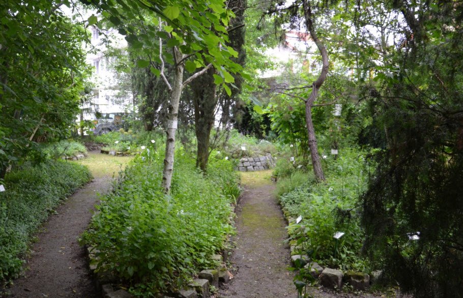 Jardin Botanique de Sannois des Plantes Médicinales, , France